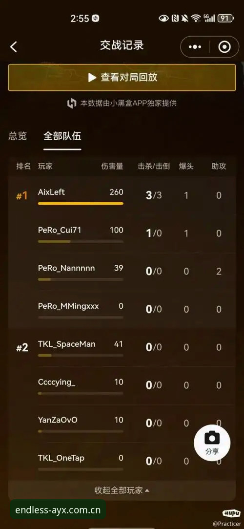 掌握AYX爱游戏竞技iOS版实用技巧，提升赛事观看与数据体验