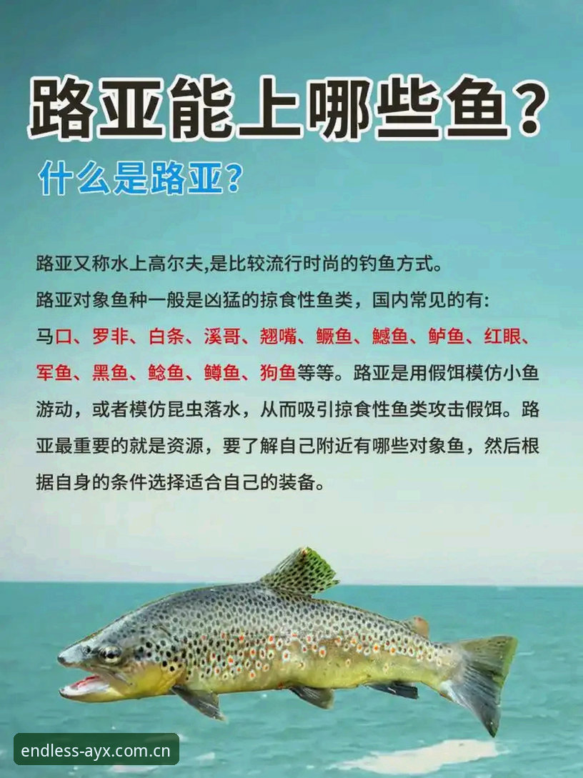 爱游体育平台解读足协第三批禁足名单——新手必备观赛安全指南